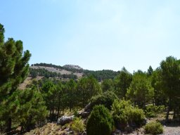 Valle de Leiva-Perdiz 2010